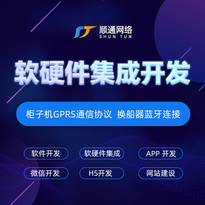 软硬件集成与定制开发 构建智能化综合管理服务系统的核心路径