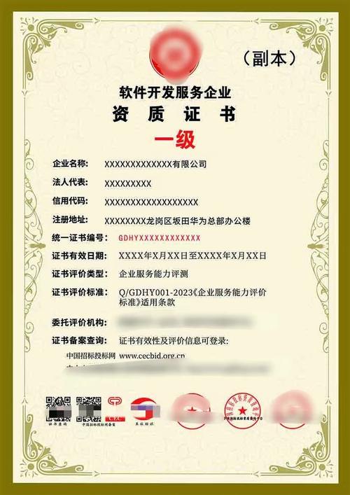 软件开发服务企业资质证书 服务能力等级 一级 全国办理