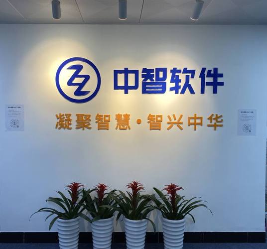 广州市中智软件开发